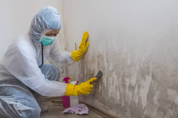Best Water Damage Restoration  in Van Buren, AR