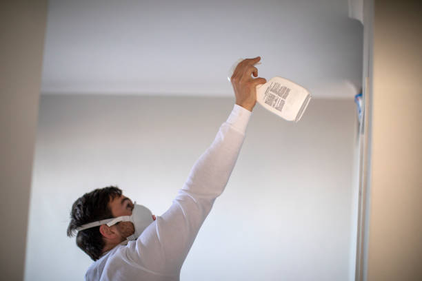 Best Residential Mold Removal  in Van Buren, AR