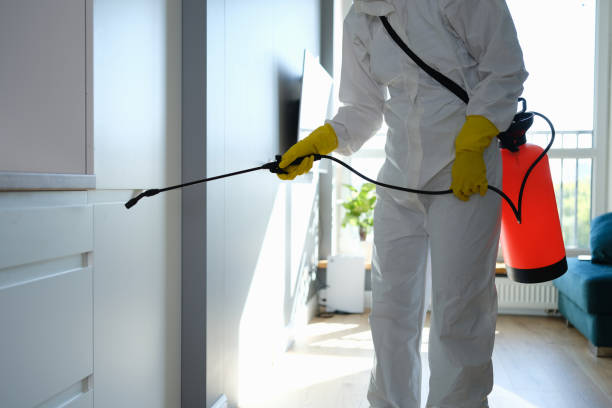 Best Best Mold Removal Companies  in Van Buren, AR