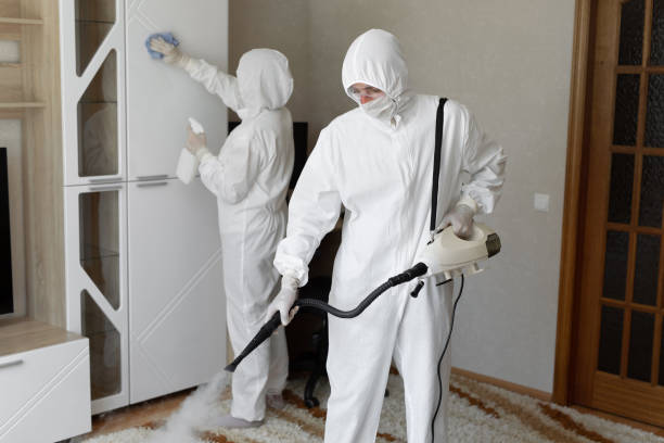 Best Professional Mold Removal  in Van Buren, AR