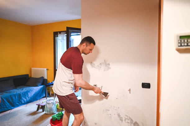 Best Certified Mold Removal  in Van Buren, AR